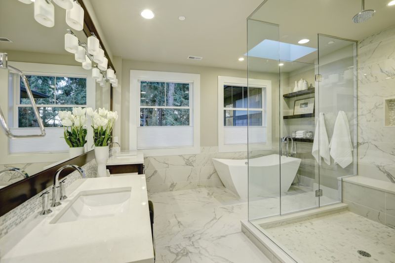 Modern Shower Area